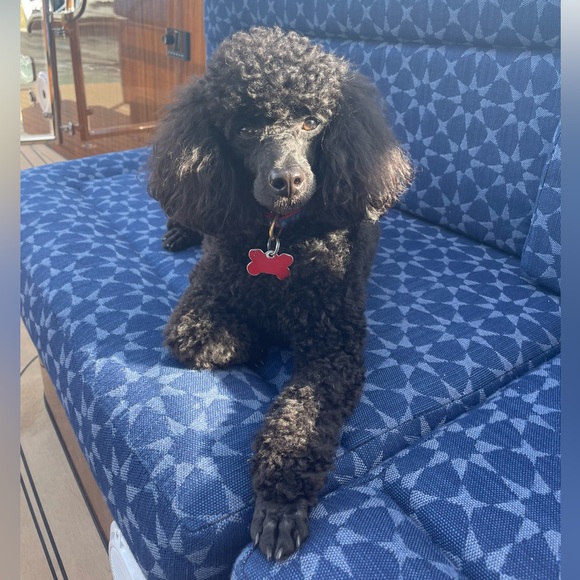 LIKE TO BE NOTIFIED WHEN I GO LIVE!!! - Picture 3 of 3